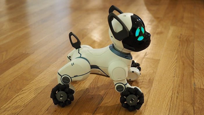 Robot o peluche, en ‘De camino por la vida’