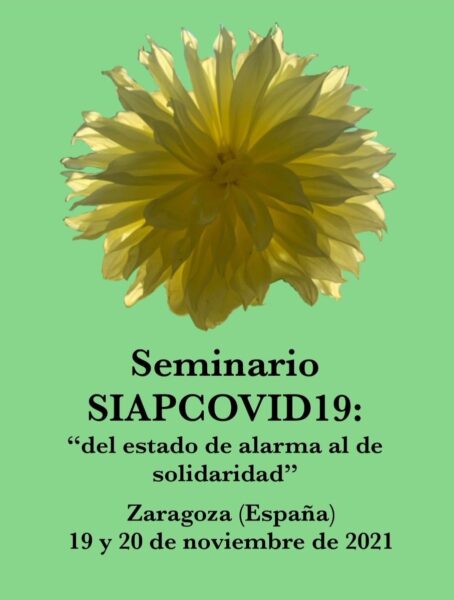 Seminario SIAPCOVID19 , en ‘Solidaridad’